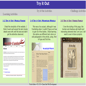 Try it Out Activities